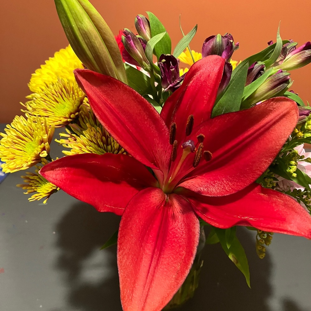 Meet your Posher, Claire